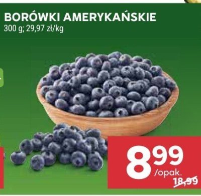 Borówki amerykańskie promocja w Stokrotka