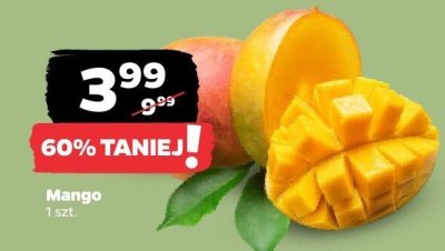Mango promocja w Netto