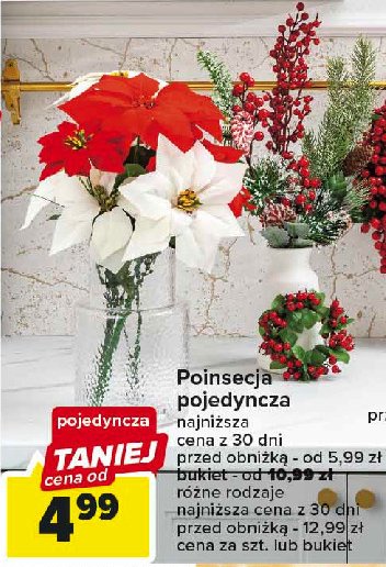Poisencja pojedyncza promocja