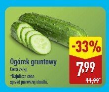 Ogórek gruntowy promocja w Aldi