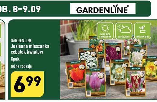 Cebulki tulipan贸w Gardenline promocja