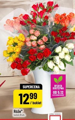 Róże promocja w POLOmarket