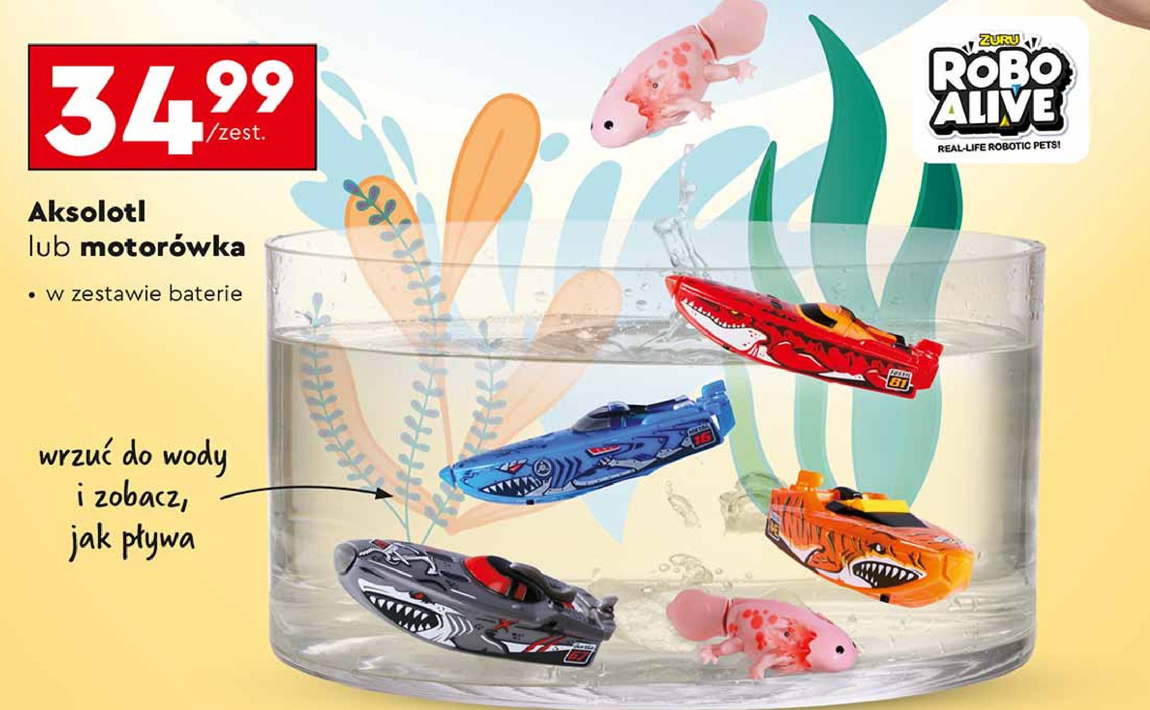 Aksolotl w torebce promocja w Biedronka