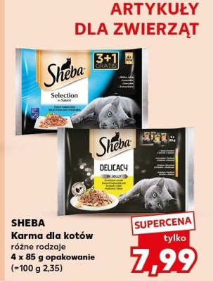 Karma dla kotów 4x85 g, różne rodzaje promocja w Kaufland