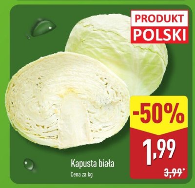 Kapusta biała promocja w Aldi