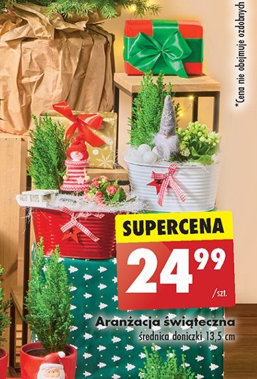 Aranżacja świąteczna 13.5 cm promocja w Biedronka