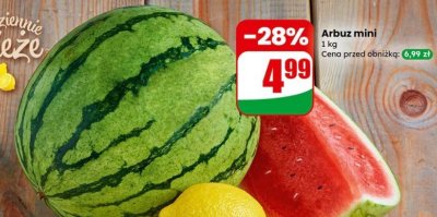 Arbuz mini promocja w Dino