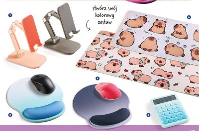 Podkładka pod myszkę Setty promocja w Biedronka