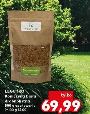 Koniczyna biała drobnolistna W. legutko promocja