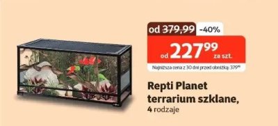 Terrarium szklane, 4 rodzaje promocja w KAKADU