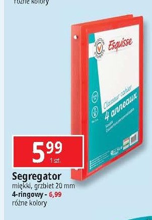 Segregator 4-ringowy Wiodąca marka esquisse promocja