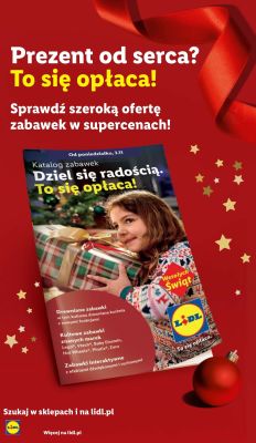 Katalog, strona 11 promocja w Lidl