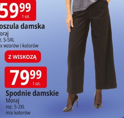 Koszula damska Moraj promocja w Leclerc