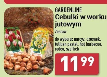 Cebulki szafirek GARDEN LINE promocja