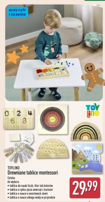 TOYLINO Drewniane tablice montessori - tablica do nauki liczb, liter lub kolorów, tablica o cyklu życia zwierząt z kartami, tablica o nauce o warstwach ziemi, tablica o nauce obiegu wody w przyrodzie promocja w Aldi