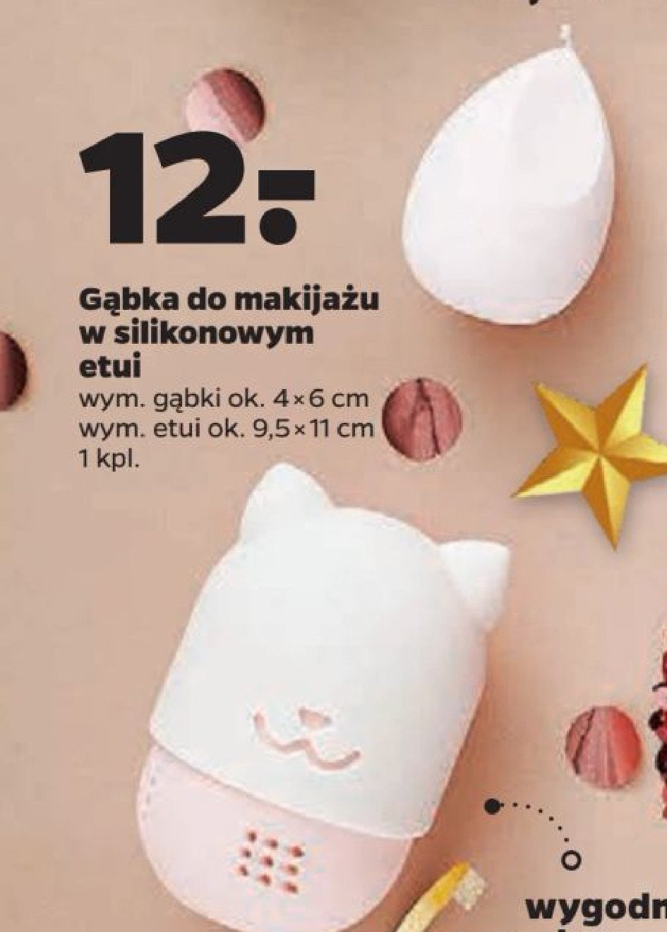 Gąbka w silikonowym etui 4 x 6 cm promocja w Netto