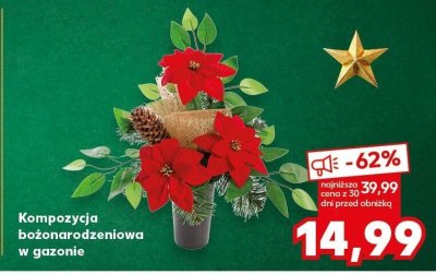 Kompozycja bożonarodzeniowa w gazonie promocja w Kaufland