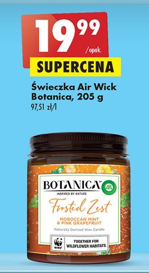 艢wieca zapachowa moroccan mint & pink grapefruit Air wick botanica promocja