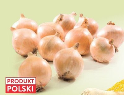 Cebula promocja w Intermarche