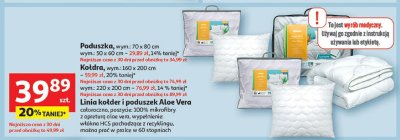 Poduszka 70x80 cm promocja w Auchan