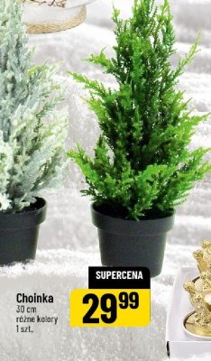 Choinka 30 cm różne kolory promocja w POLOmarket