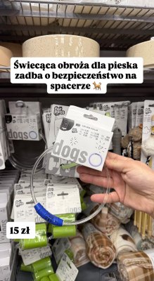 Świecąca obroża LED dla psa for pets promocja