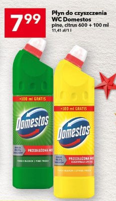 Płyn do czyszczenia WC Domestos pine, citrus 600 + 100 ml promocja w LEWIATAN