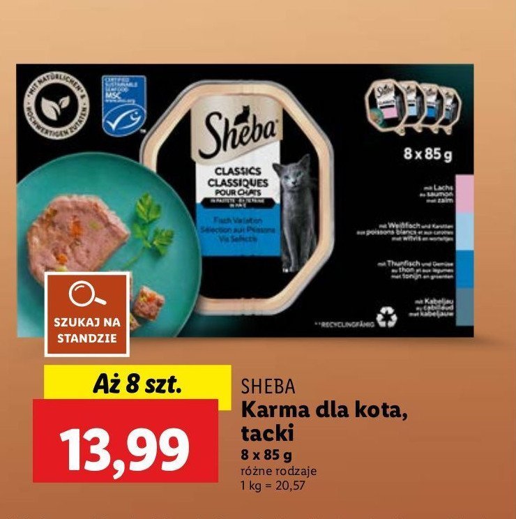 Karma dla kota z 艂oso艣iem Sheba promocja