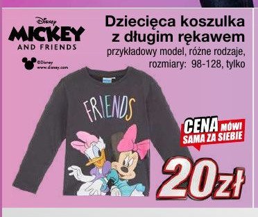 Koszulka dziecięca długi rękaw mickey and friends rozm. 98-128 cm promocja