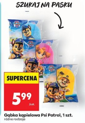 Gąbka kąpielowa Psi Patrol, 1 szt. promocja w Biedronka