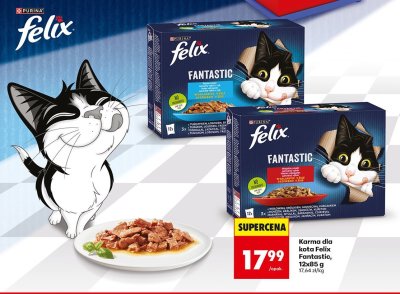 Karma dla kota Fantastic promocja w Biedronka