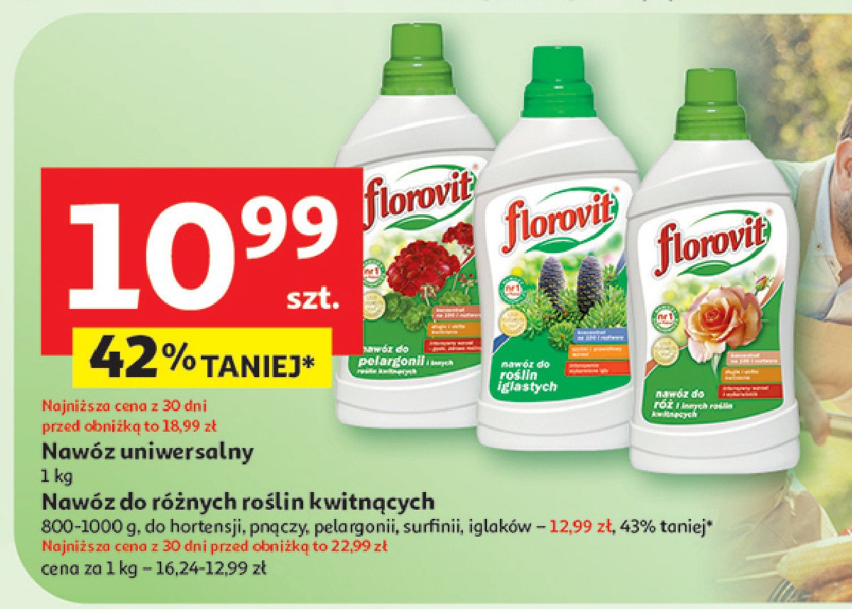 Nawóz do iglaków Florovit promocja w Auchan