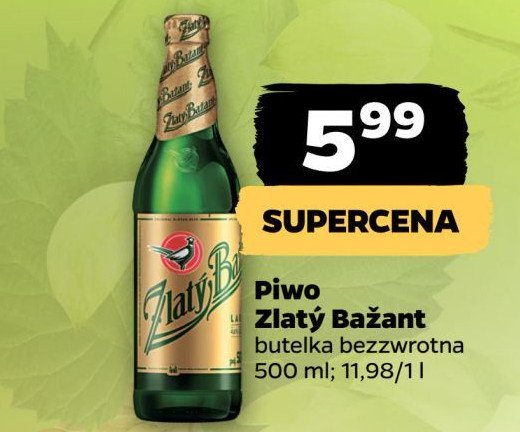 Piwo Złoty bażant promocja