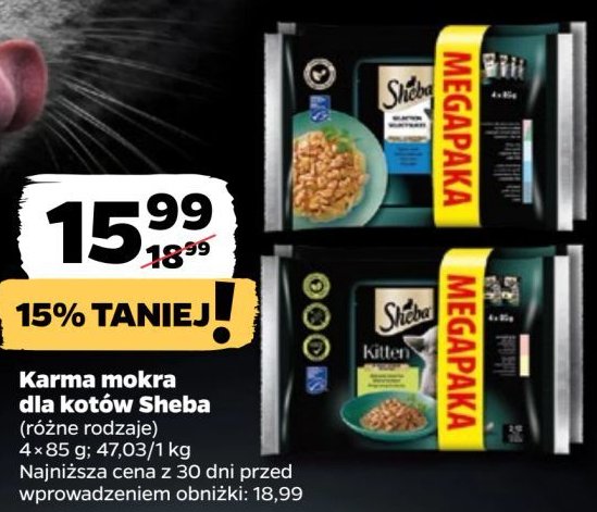 Karma dla kota smaki rybne Sheba selection in sauce promocja