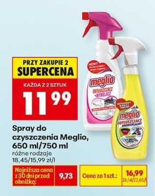 Spray do czyszczenia, 650 ml/750 ml, różne rodzaje promocja w Biedronka