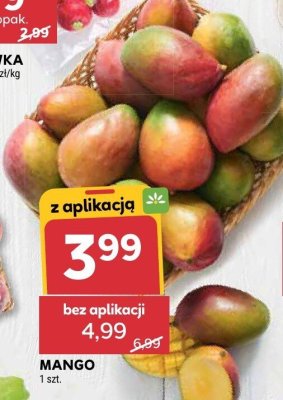 Czosnek - młynek Kotanyi promocja w Stokrotka