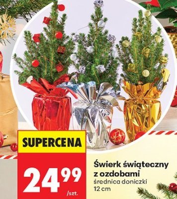 Świerk świąteczny z ozdobami promocja w Biedronka
