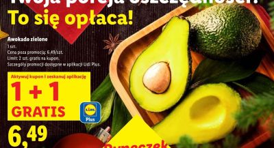 Awokado zielone promocja w Lidl