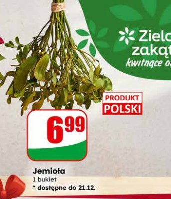 Jemioła promocja w Dino