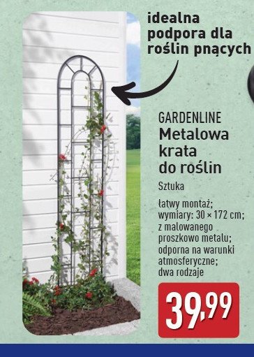 Metalowa krata do roślin 30 x 172 cm GARDEN LINE promocja w Aldi