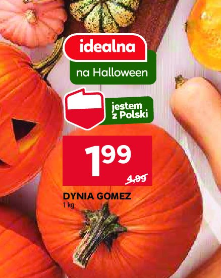 Dynia gomez promocja