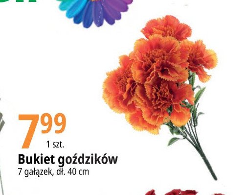 Bukiet go藕dzik贸w 40 cm promocja
