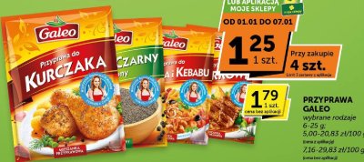 Przyprawa Galeo do kurczaka promocja w Euro Sklep