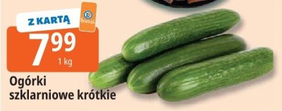 Ogórki szklarniowe krótkie promocja w Leclerc
