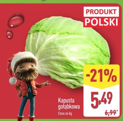 Kapusta gołąbkowa promocja w Aldi