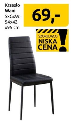 Krzesło SxGxW: 54x42x95 cm Vani promocja