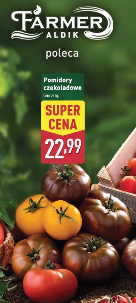 Pomidory czekoladowe promocja