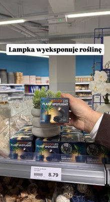 Lampka LED do roślin  promocja w Action