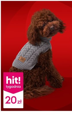 Sweter dla psa szary warkoczowy promocja w Pepco