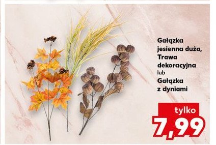 Gałązka z dyniami promocja